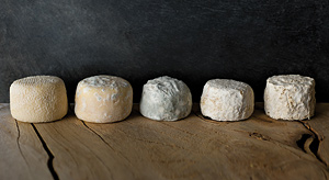 Fabrication du crottin de chavignol